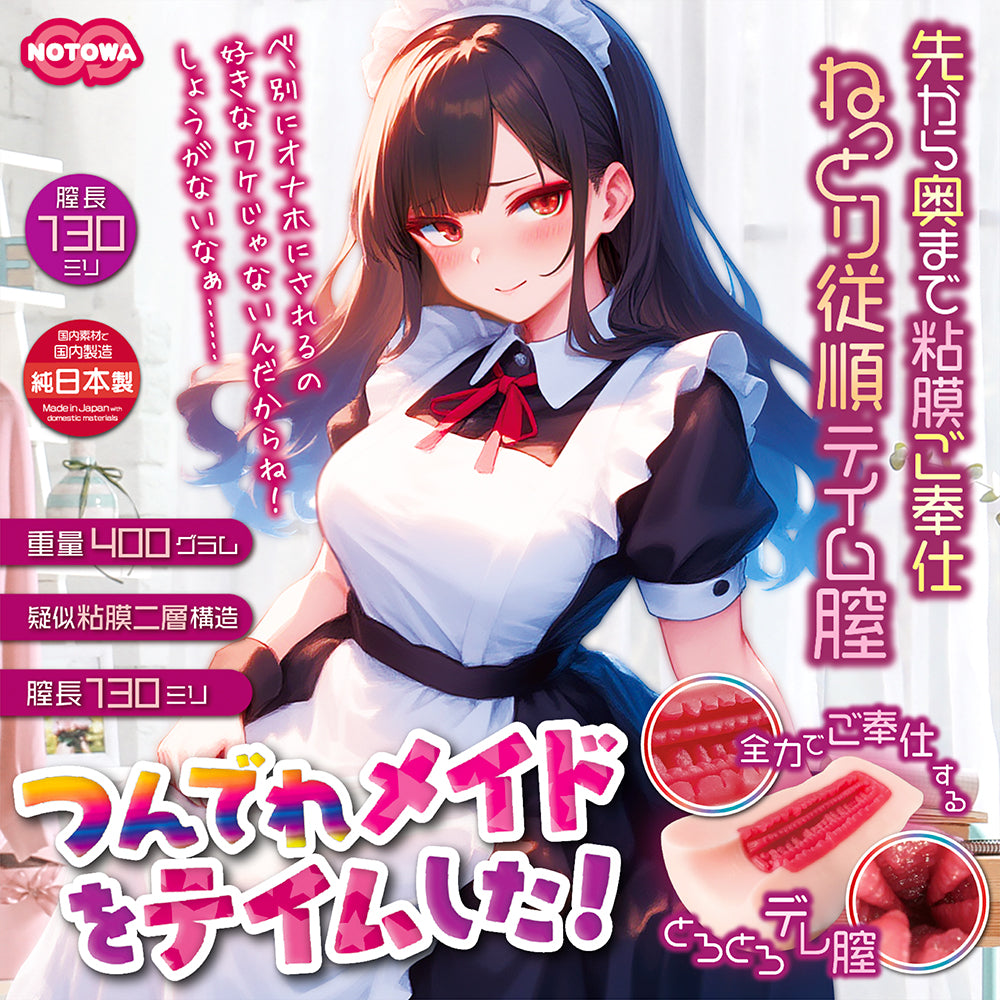 I Tamed a Tsundere Maid