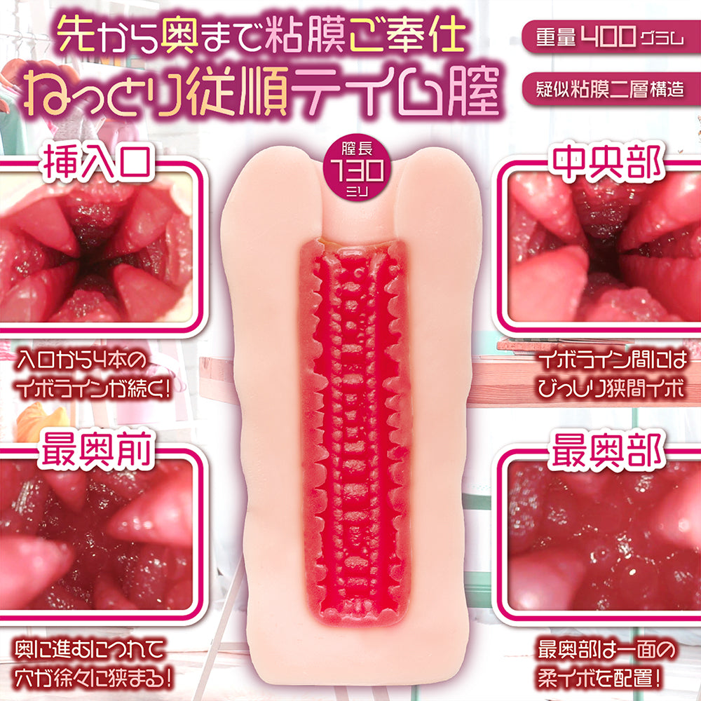 I Tamed a Tsundere Maid