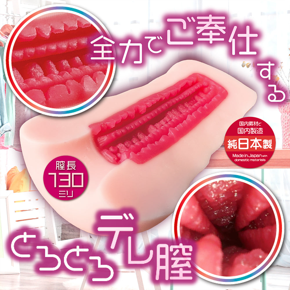 I Tamed a Tsundere Maid